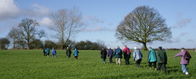 trudge across the fields